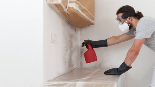 Professional Bathroom Mold Removal technician working in Lynnwood, WA