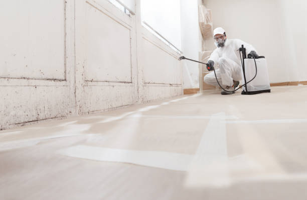 24/7 Emergency Bathroom Mold Removal experts in Lynnwood, WA