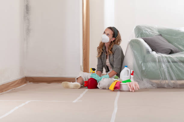 Reliable Bathroom Mold Removal contractor in Lynnwood, WA by 24 Hour Mold Removal