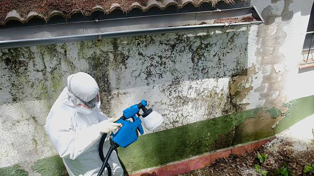 Top rated local Bathroom Mold Removal specialists in Lynnwood, WA